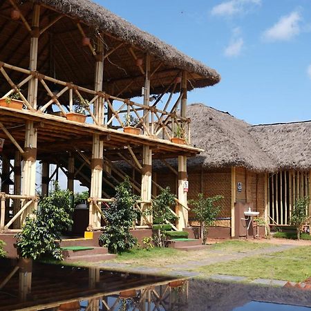 Hotel Spykee Spot Hampi Exteriér fotografie